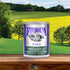 Fromm Classic Adult Wet Dog Food - Turkey & Rice - 12.5oz Can